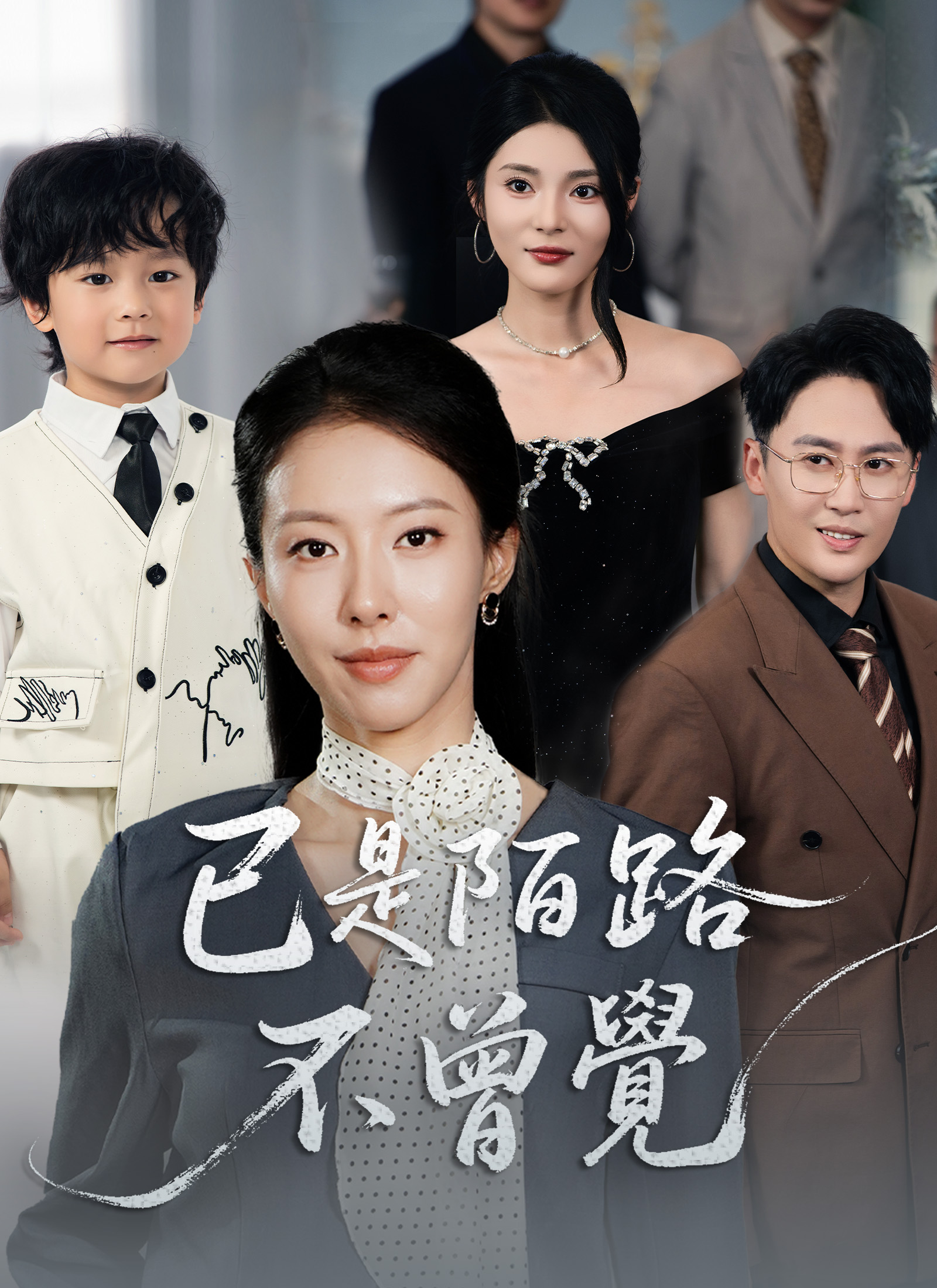《已是陌路不曾覺》封面