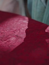 Episode 40 - When Geese Return: The Emperor's Lost Melody