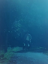 第29集 - 時間的證人