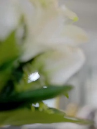 天降驚喜 - Episode 28