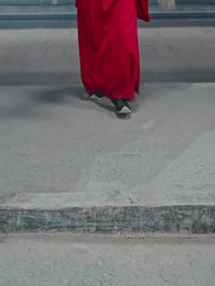 When Geese Return: The Emperor's Lost Melody - Episode 42