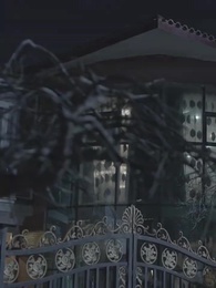 出獄後大佬媽咪颯爆全球 - Episode 29