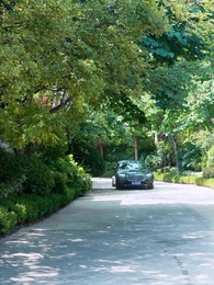 第4集 - 出獄後大佬媽咪颯爆全球