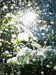 第1集 - 她在寒風中綻放