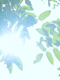 第3集 - 舉國之力,送我去後世留學五年