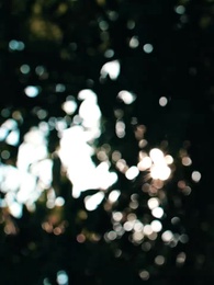 花束之戀 - Episode 55