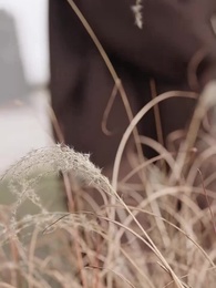 六年後,她攜三寶炸翻全場 - Episode 61