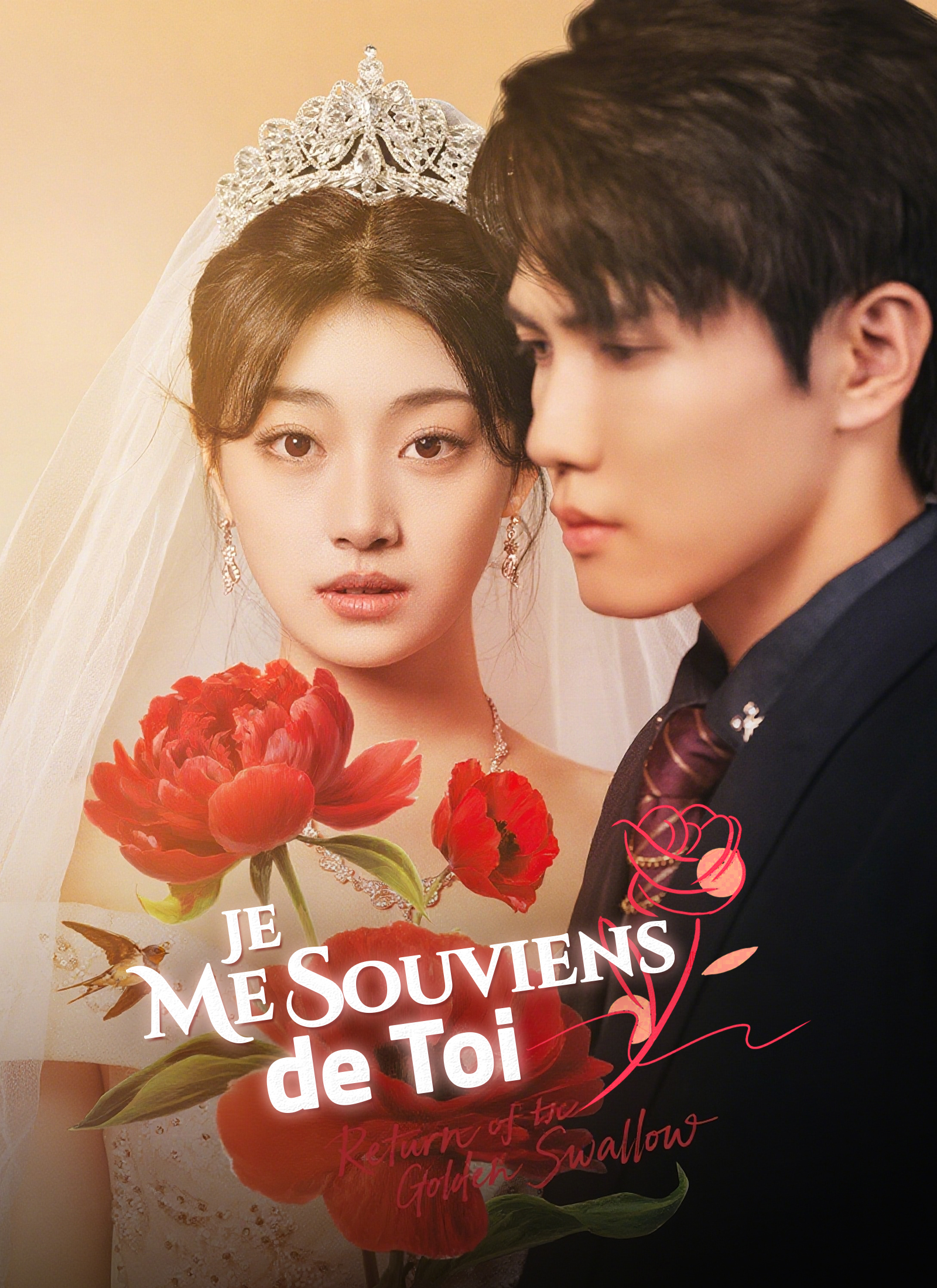 Couverture de Je Me Souviens de Toi