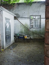 第62集 - 她在寒風中綻放