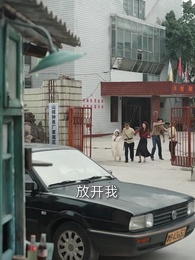 第29集 - 棄你登頂,我的榮耀你高攀不起