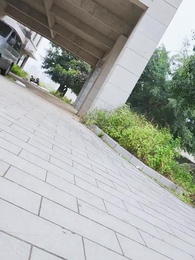 離婚後，萌寶和三個大佬哥哥寵翻我 - Episode 83