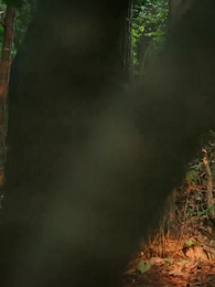 27화 - 러브&데스