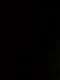 第7集 - 高貴的她