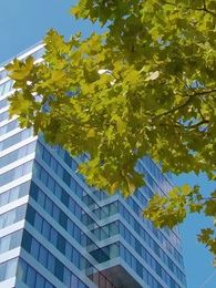 偽證之辭 - Episode 39