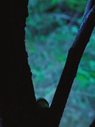 러브&데스 - Episode 42