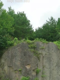 Tập 2 - Thiên Tôn Báo Ân