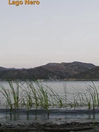 Episodio 1 - [Doppiato]MAGIC EX: ZANNE e UNGHIE, Entrambe Innamorate di Me