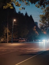 第33集 - 孕從天降