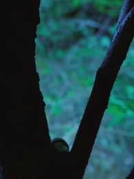 Love and Death - Episode 42