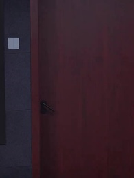 第12集 - 偽證之辭