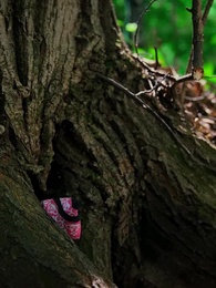 Love and Death - Episode 26