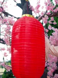 Episodio 51 - Destinos Quebrados por el Viento