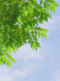 [Dubbed]For Crown and Homeland - Episode 49