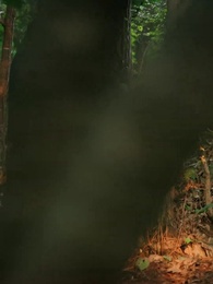 Love and Death - Episode 27