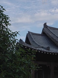 第42集 - 踏宮闕