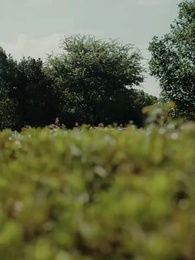 43화 - 사랑이 우리를 다시 찾았다