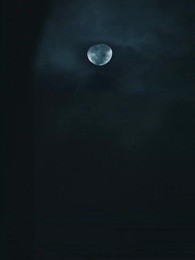 重生女帝侍奉我左右 - Episode 42