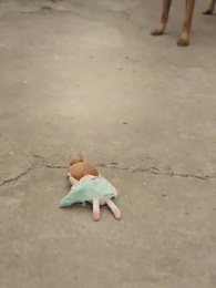 最颯八零之極品小蔫妻 - Episode 7