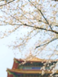 塵心不可改 - Episode 8