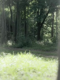 第47集 - 大理寺卿六歲半