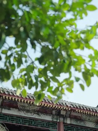 第39集 - 塵心不可改