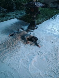 Épisode 1 - Sous les Cendres du Destin