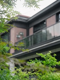 第49集 - 荊棘玫瑰