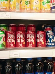 第4集 - 媽都是為你好