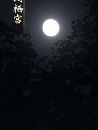 何人葬我忘川岸 - Episode 27