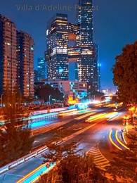 Épisode 10 - L'Amour Flétri