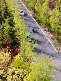 [Dublajlı]Sonsuz Vedaların Sonuncusu - Episode 49