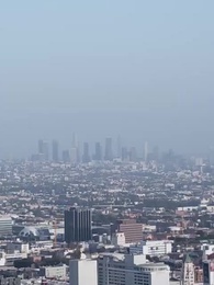 Episódio 33 - O Herdeiro que Voltou para Casa