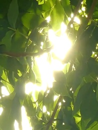 L'Amour en Chaleur - Episode 101