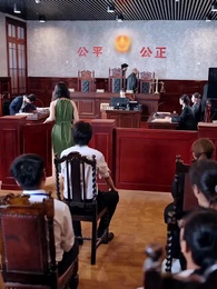 マドンナ弁護士 - Episode 17