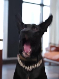 第18集 - 清退租客後，我不租了