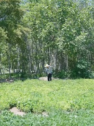 Memorias de Villa Esperanza - Episode 2