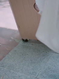 第10話 - 嵐が近づき、愛は岸辺に取り残されて