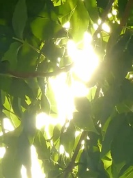 Neue Flammen, neues Wir - Episode 101