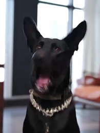 Episodio 18 - El Círculo de la Traición