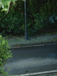 第39集 - 千裏山水藏於心